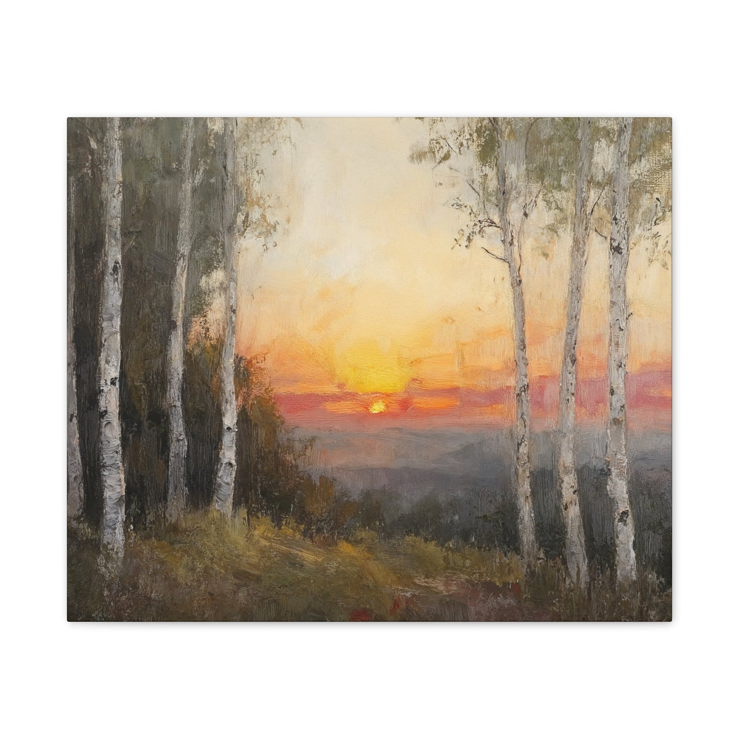 Birch Trees